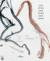 Meander